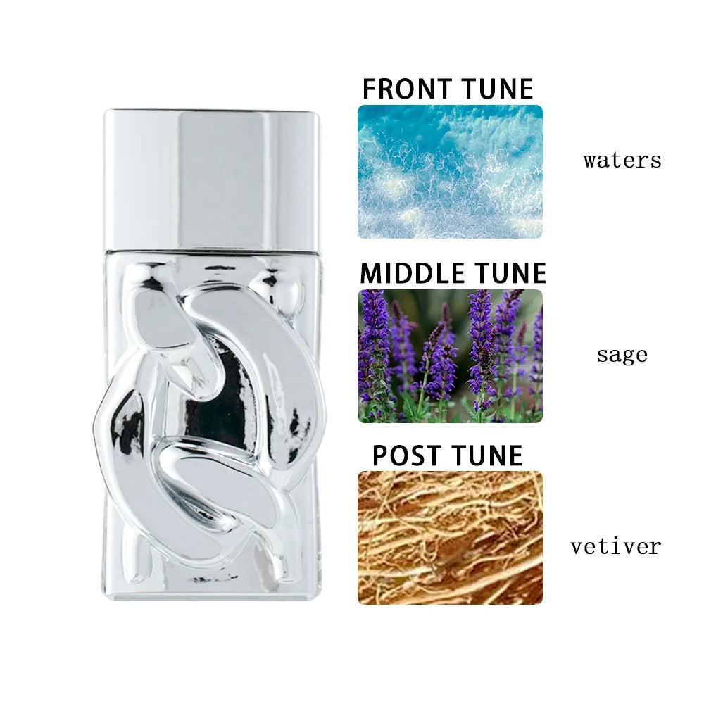 Eau de Parfum Santal Musc 100ml - Fragrance Sereine Premium